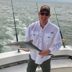 Meet your Posher, Perry